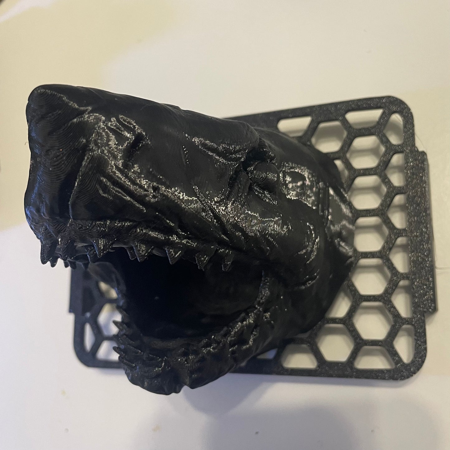 Grille de Snorkel + tête interchangeable