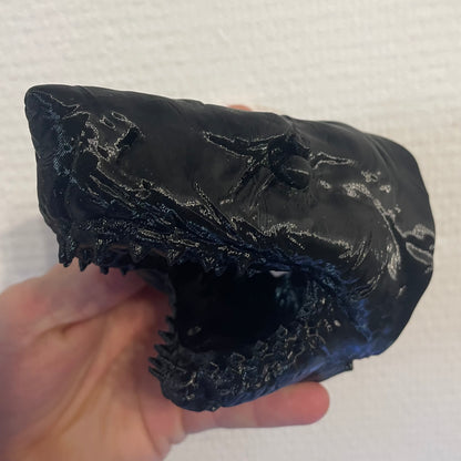 Tête grille de Snorkel